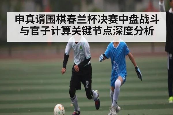 申真谞围棋春兰杯决赛中盘战斗与官子计算关键节点深度分析